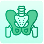 MRI Abdomen and Pelvis Scan