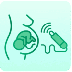 Obstetric Ultrasound Scan