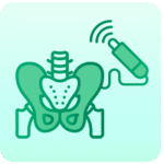 Pelvic Ultrasound Scan