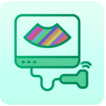 Ultrasound Color Doppler Scan